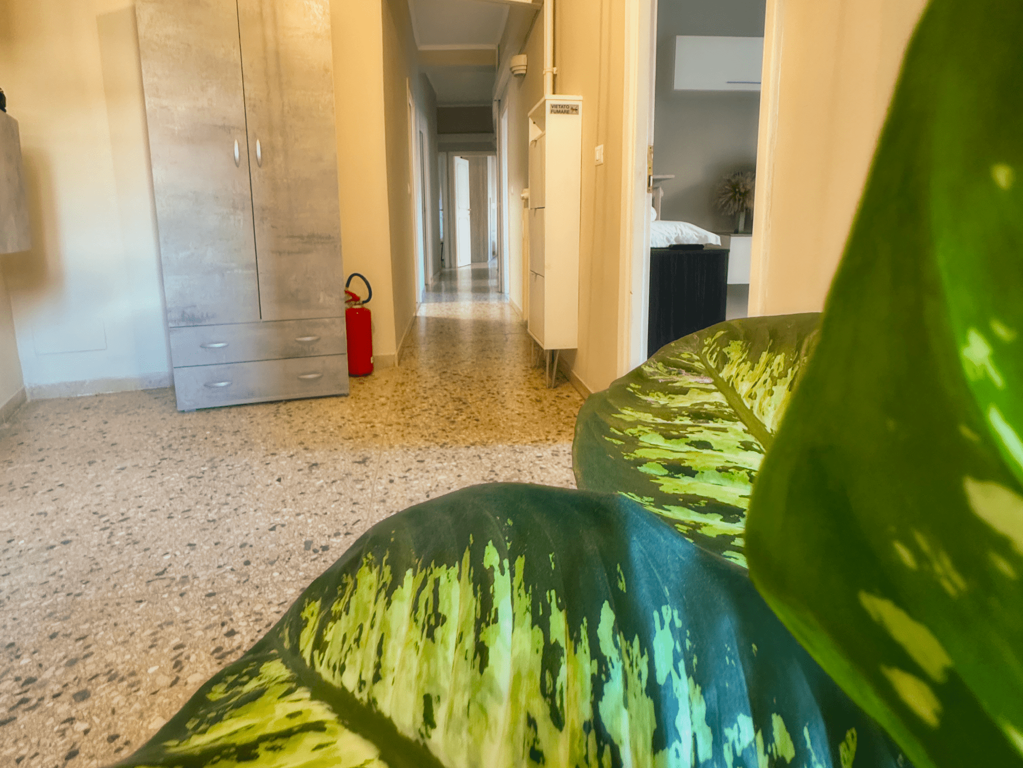 55f75978-bcc0-47cd-b26f-66b5f501e8c5